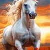 Blond Hair Horse Paint By Numbers