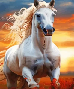 Blond Hair Horse Paint By Numbers