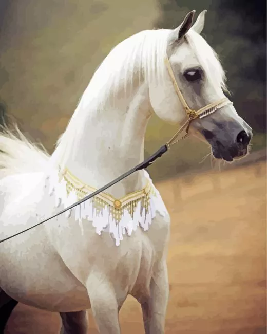 blonde arabian horse paint by number Arabian Horse Paint By Numbers