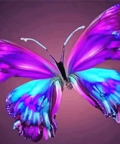 Butterfly Paint By Numbers