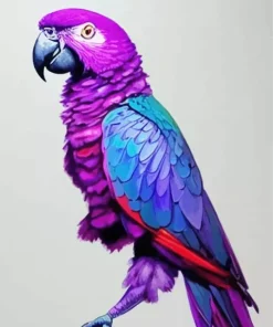 Purple Parrot Paint By Numbers