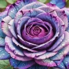 Purple Rose Paint By Numbers
