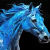 Blue Black Horse Paint By Numbers