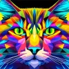 Colorful Abstract Cat Paint By Numbers
