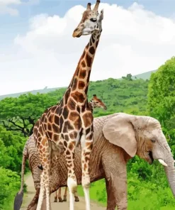 Elephant And Giraffe Paint By Numbers