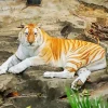 Golden Tiger Paint By Numbers