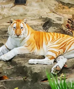 Golden Tiger Paint By Numbers