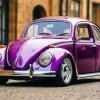 Volkswagen Beetle Paint By Numbers