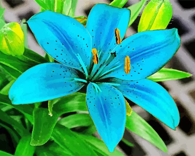 Blue Lily paint by numbers Blue Lily Diamond Painting
