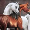 Blonde Arabian Horse Paint By Numbers