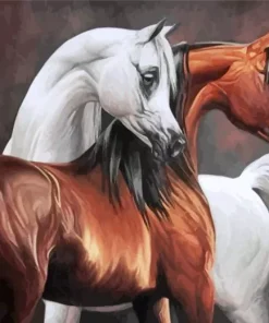 Blonde Arabian Horse Paint By Numbers