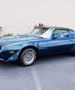Dark 1979 Firebird Paint By Numbers