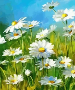 Field Of White Daisies Paint By Numbers