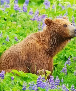 Bear And Flowers Paint By Numbers