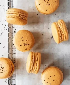 Beige Macarons Paint By Numbers