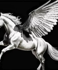 Horse With Wings Paint By Numbers