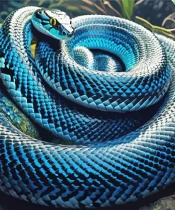 Blue And Black Snake Paint By Numbers