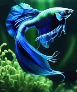 Green Betta Fish Paint By Numbers