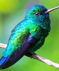 Blue Green Hummingbird Paint By Numbers