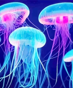 Blue Pink Jellyfish Paint By Numbers