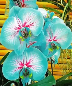 Blue Orchids Paint By Numbers