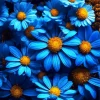 Blue Daisies Diamond Painting
