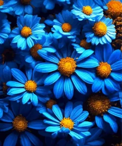Blue Daisies Paint By Numbers