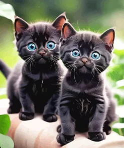 Blue Eyed Cats Paint By Numbers