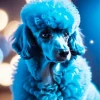 Blue Poodle Dog Paint By Numbers