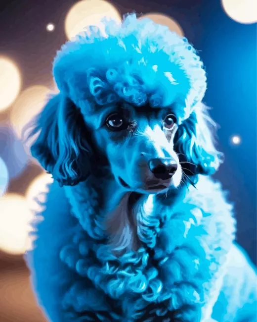 blue poodle dog paint by number Blue Poodle Dog Paint By Numbers