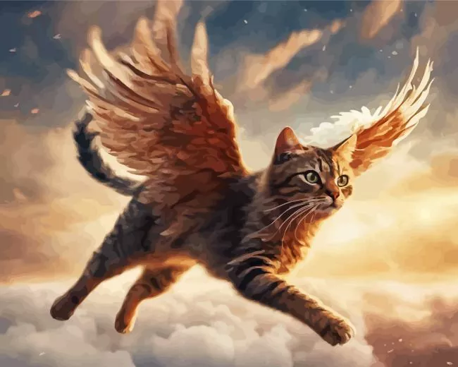 cool flying cat paint by numbers Cool Flying Cat Paint By Numbers