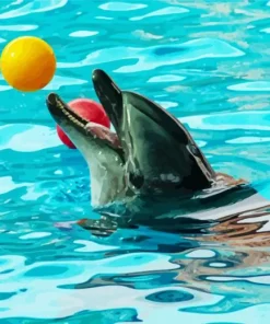 Dolphin With Ball Paint By Numbers