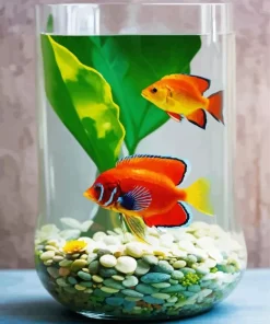 Fish Tank Art Paint By Numbers