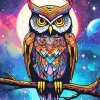 Galactic Owl Paint By Numbers