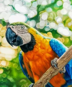 Gold And Yellow Macaw Paint By Numbers