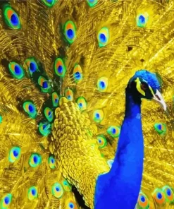 Golden Peacock Paint By Numbers