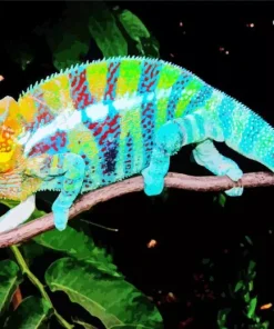 Panther Chameleon Paint By Numbers