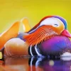 Sleeping Duck Paint By Numbers