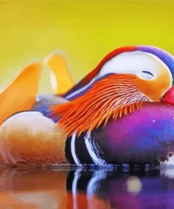 Sleeping Duck Paint By Numbers