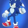 Sonic The Werewolf Paint By Numbers