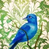 Finch Bird Art Paint By Numbers