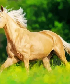 Beige Horse Paint By Numbers