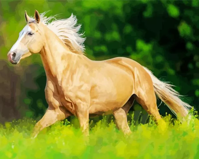 beige horse paint by numbers Beige Horse Paint By Numbers