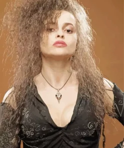 Bellatrix Lestrange Paint By Numbers