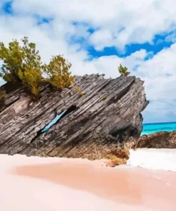 Beach San Diego Paint By Numbers