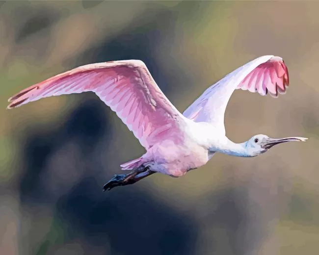 big pink bird paint by number Big Pink Bird Paint By Numbers