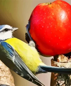 Bird Apple Tree Paint By Numbers