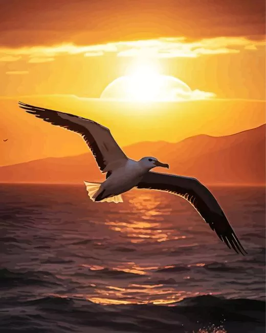 bird flying over ocean Diamond Paints Bird Flying Over Ocean Paint By Numbers