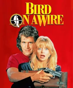 Bird On A Wire Paint By Numbers