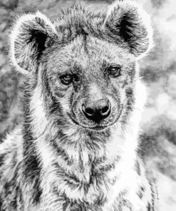 Black And White Hyena Paint By Numbers